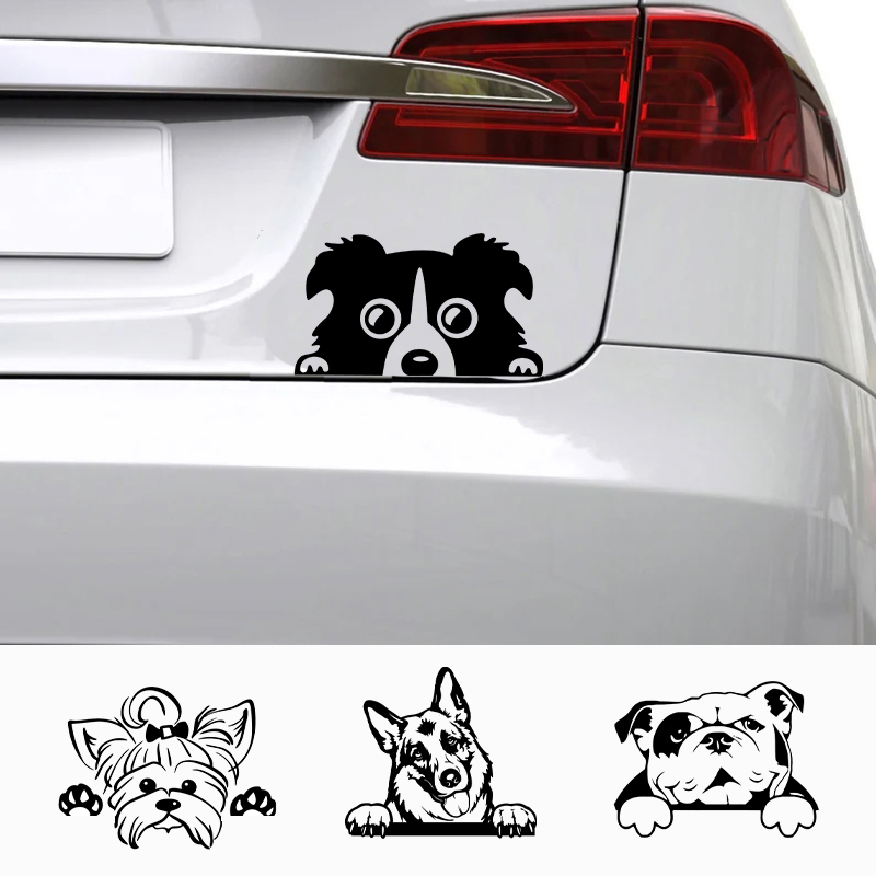 Laptop Accessories Name - Araba Aksesuar Çıkartmaları Komik Köpek Adı